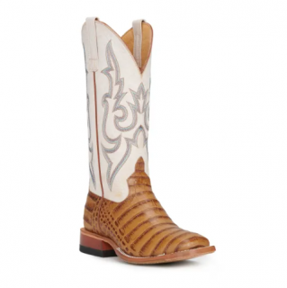 Special Offer Anderson Bean Women's Macie Bean Antique Saddle Caiman Print and Bone Wide Square Toe Cowboy Boots-SADDLETAN