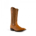 New Arrivals Ferrini Colt - Men's Full Quill Ostrich-Cognac New Arrivals Ferrini Colt - Men's Full Quill Ostrich-Cognac
