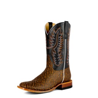 Latest Horse Power Boots | HP8070 Latest Horse Power Boots | HP8070