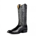 Latest Horse Power Boots | HP6510