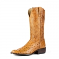 Latest Horse Power Boots | HP6512