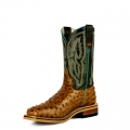 Latest Horse Power Boots | HPW2503 Latest Horse Power Boots | HPW2503