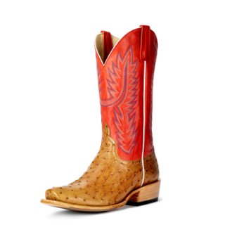 Latest Horse Power Boots | HP6512 Latest Horse Power Boots | HP6512