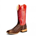 Latest Horse Power Boots | HP8056