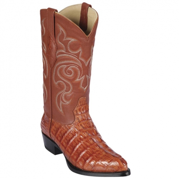 Los Altos Men's Cognac Caiman Tail Western Boots | Cognac | Free Delivery Los Altos Men's Cognac Caiman Tail Western Boots | Cognac | Free Delivery