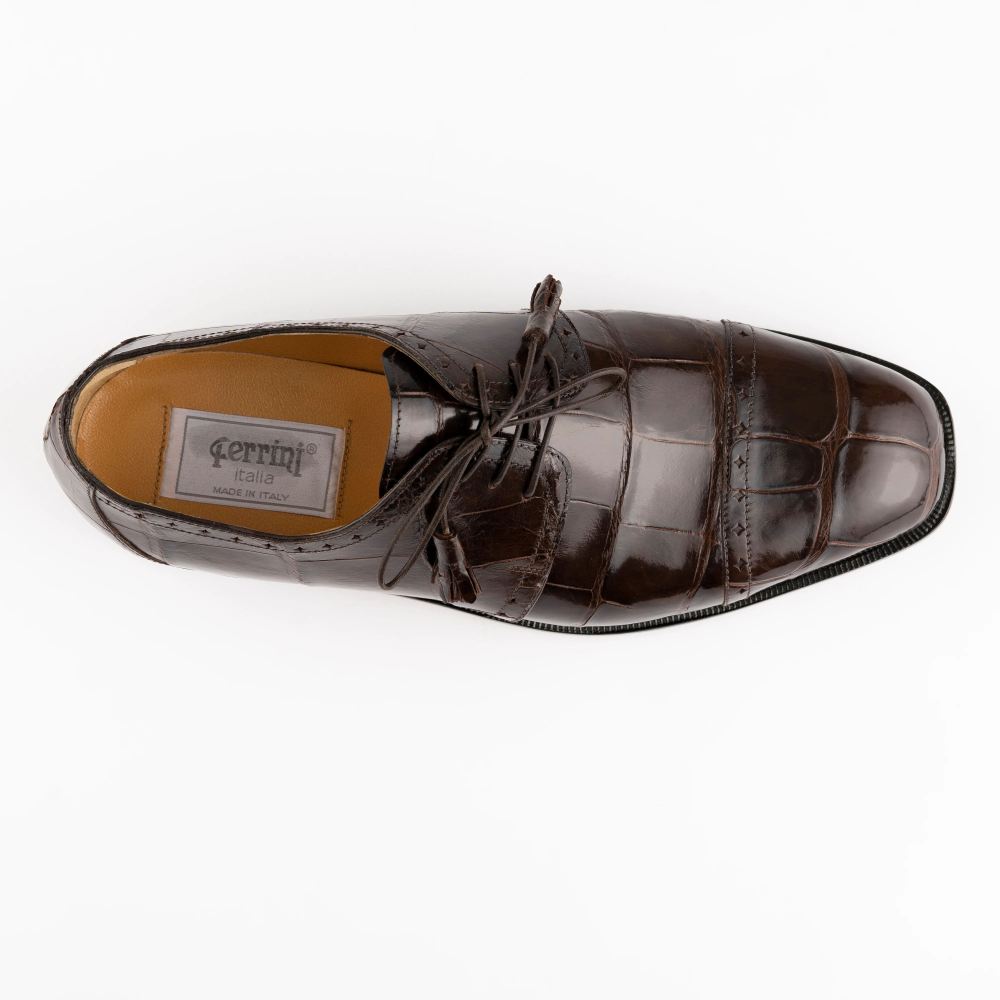 New Arrivals Ferrini Men's Alligator -3798-Chocolate