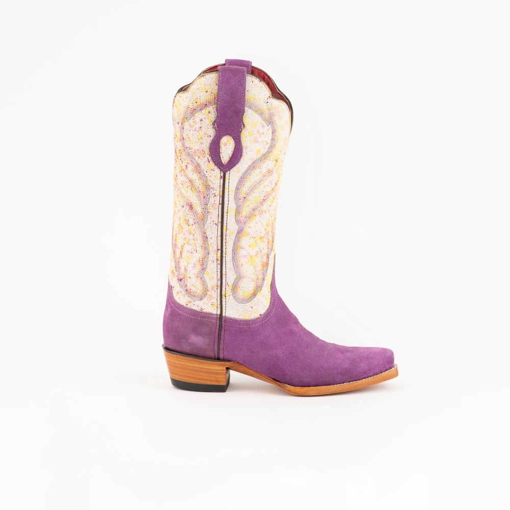 New Arrivals Ferrini Women's Candy-Purple/Cream