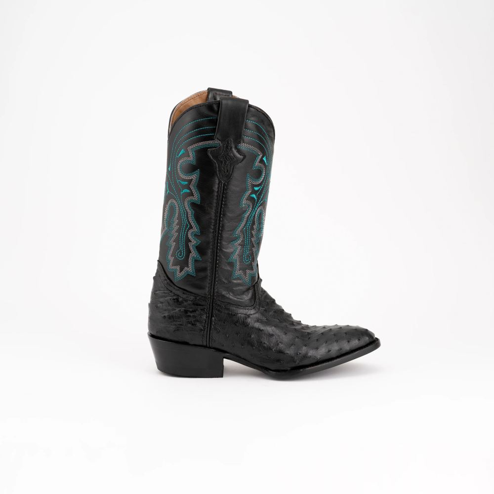 New Arrivals Ferrini Colt - Men's Full Quill Ostrich-Black