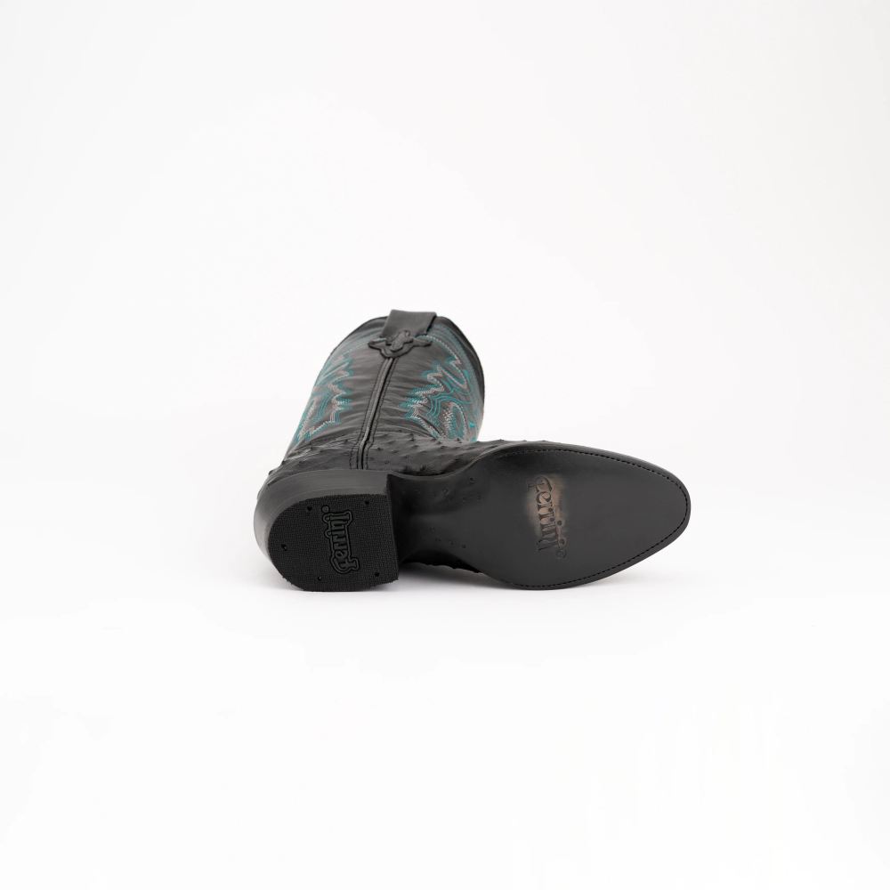 New Arrivals Ferrini Colt - Men's Full Quill Ostrich-Black