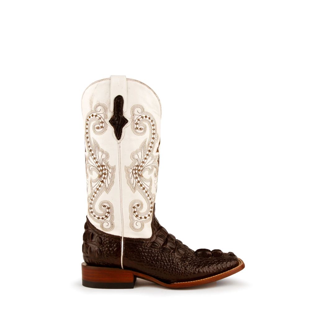 New Arrivals Ferrini Women's Rancher-Chocolate/White