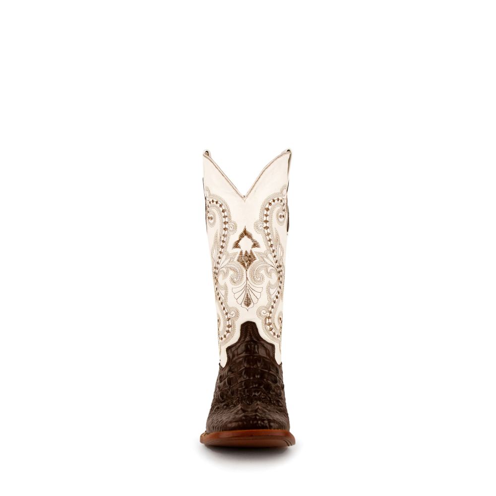 New Arrivals Ferrini Women's Rancher-Chocolate/White