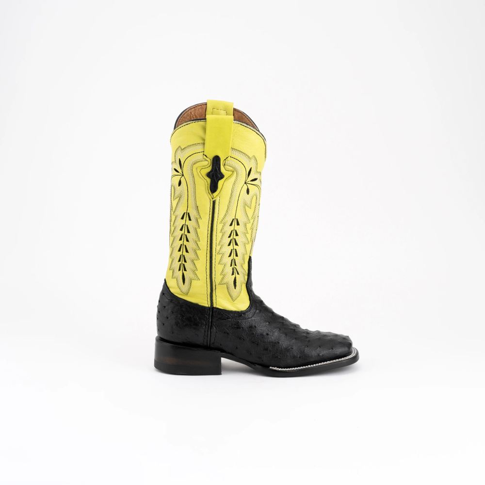 New Arrivals Ferrini Women's Ladies Colt - Full Quill Ostrich-Black