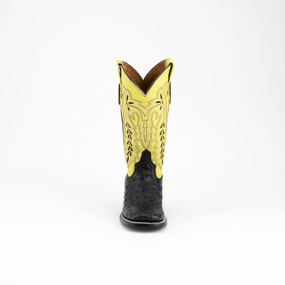 New Arrivals Ferrini Women's Ladies Colt - Full Quill Ostrich-Black