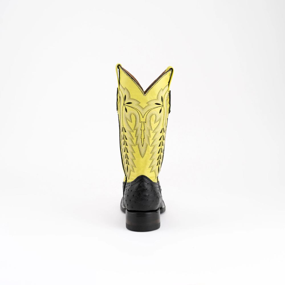 New Arrivals Ferrini Women's Ladies Colt - Full Quill Ostrich-Black