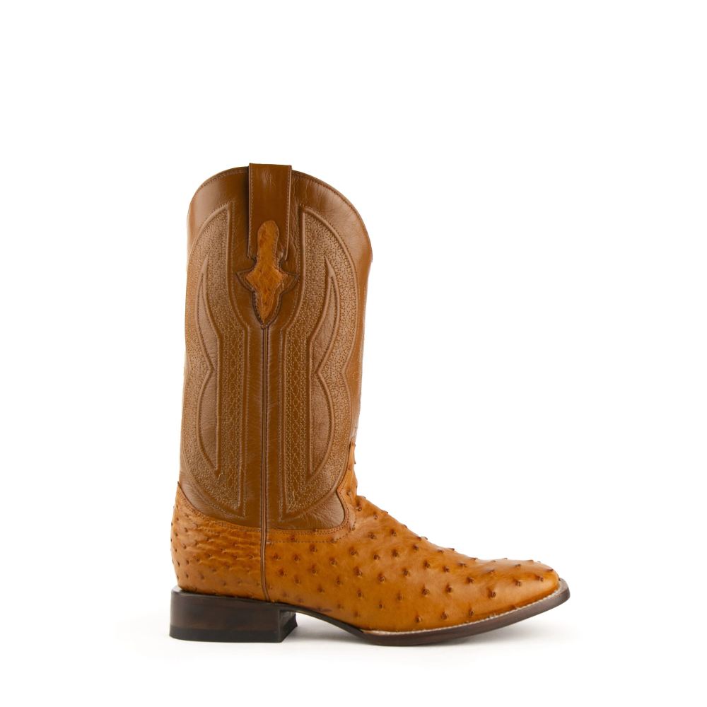 New Arrivals Ferrini Colt - Men's Full Quill Ostrich-Cognac