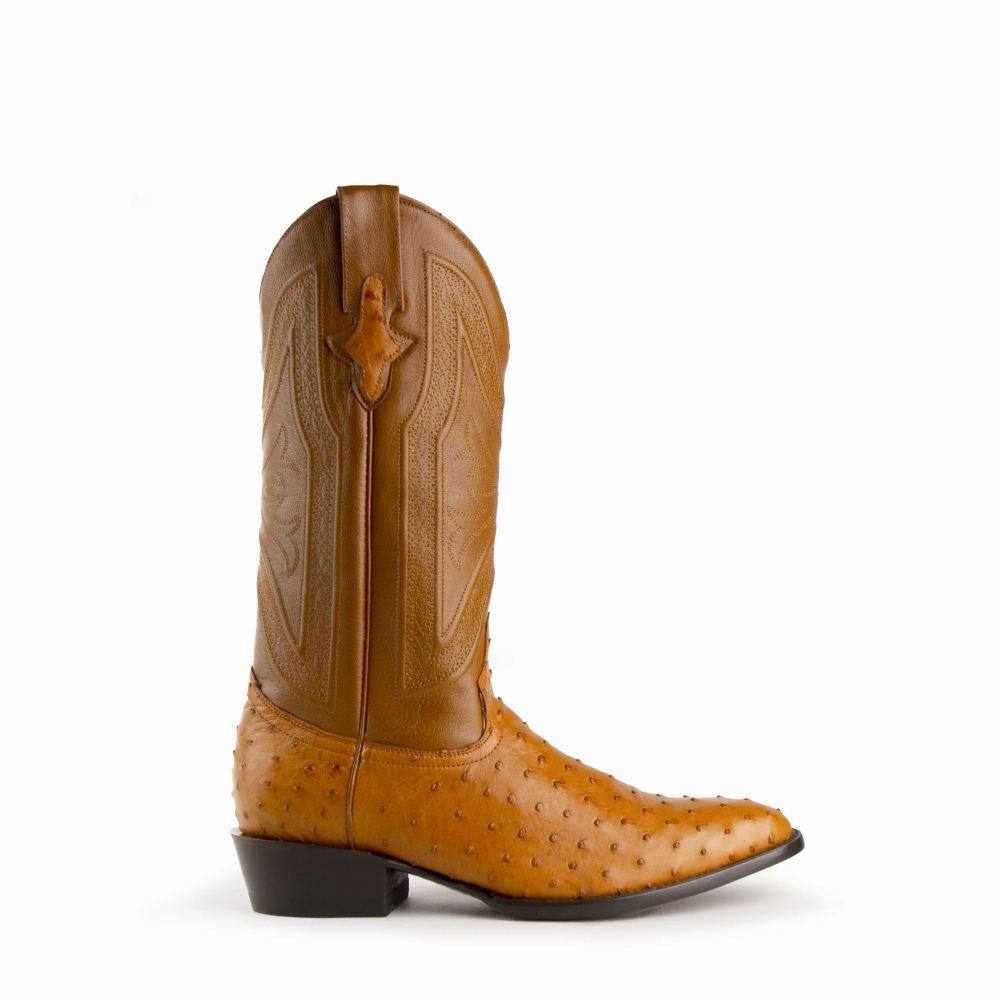 New Arrivals Ferrini Colt - Men's Full Quill Ostrich-Cognac