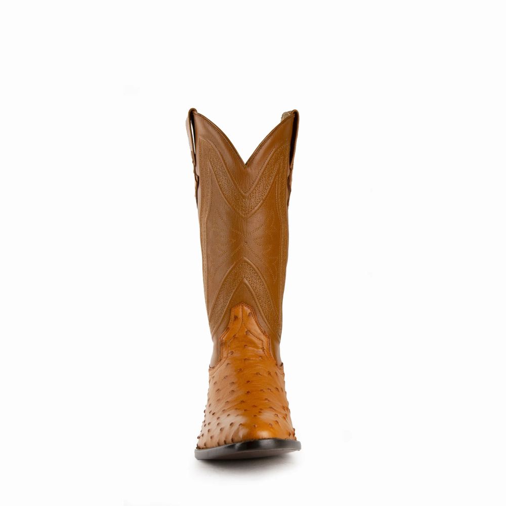 New Arrivals Ferrini Colt - Men's Full Quill Ostrich-Cognac