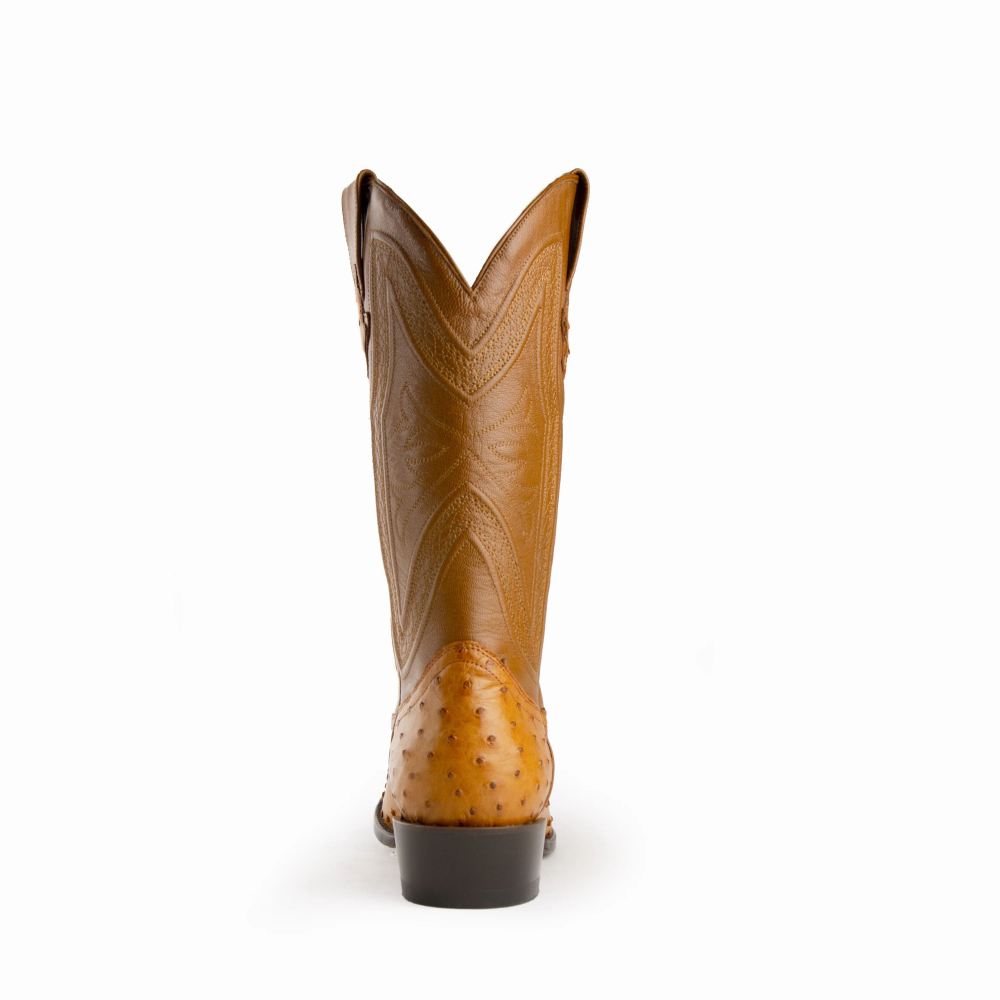 New Arrivals Ferrini Colt - Men's Full Quill Ostrich-Cognac