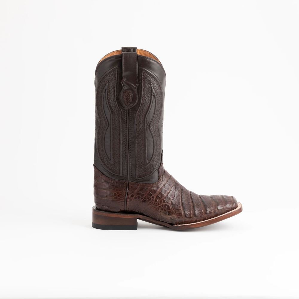 New Arrivals Ferrini Men's Belly Caiman Dakota-Chocolate
