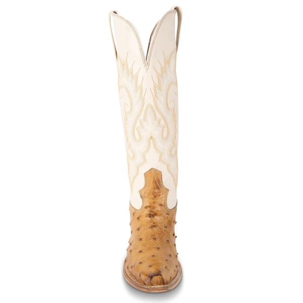 FREEBIRD STYLISH OUTLET WOMEN'S WOODLAND-WHEAT OSTRICH | STYLISH OUTLET