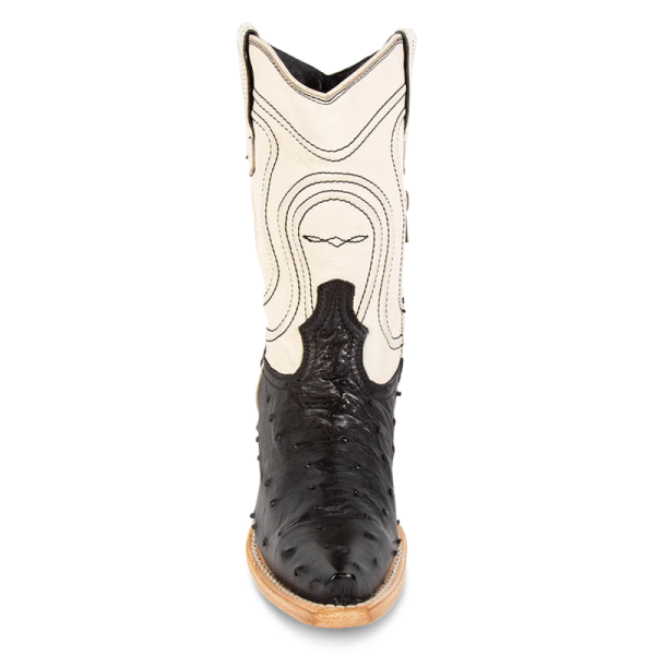 FREEBIRD STYLISH OUTLET WOMEN'S WARRICK-BLACK OSTRICH MULTI | STYLISH OUTLET