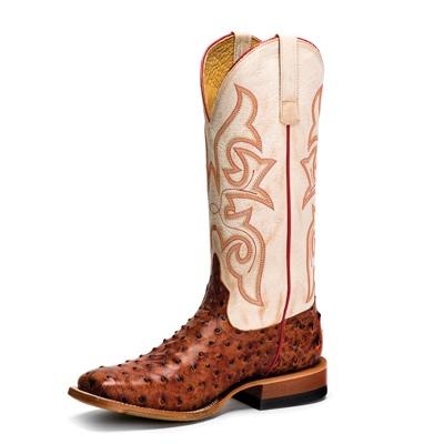 Latest Horse Power Boots | HPW2504 Latest Horse Power Boots | HPW2504