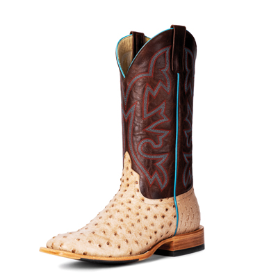 Latest Horse Power Boots | HP8051 Latest Horse Power Boots | HP8051